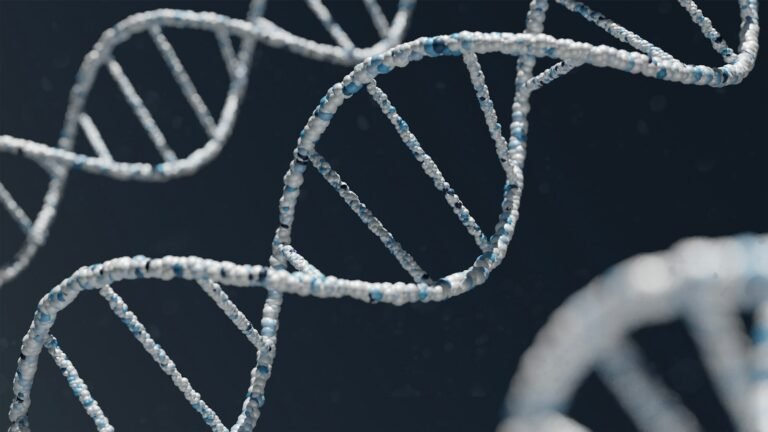 Estrutura de dupla helice do DNA, base do teste BRCA